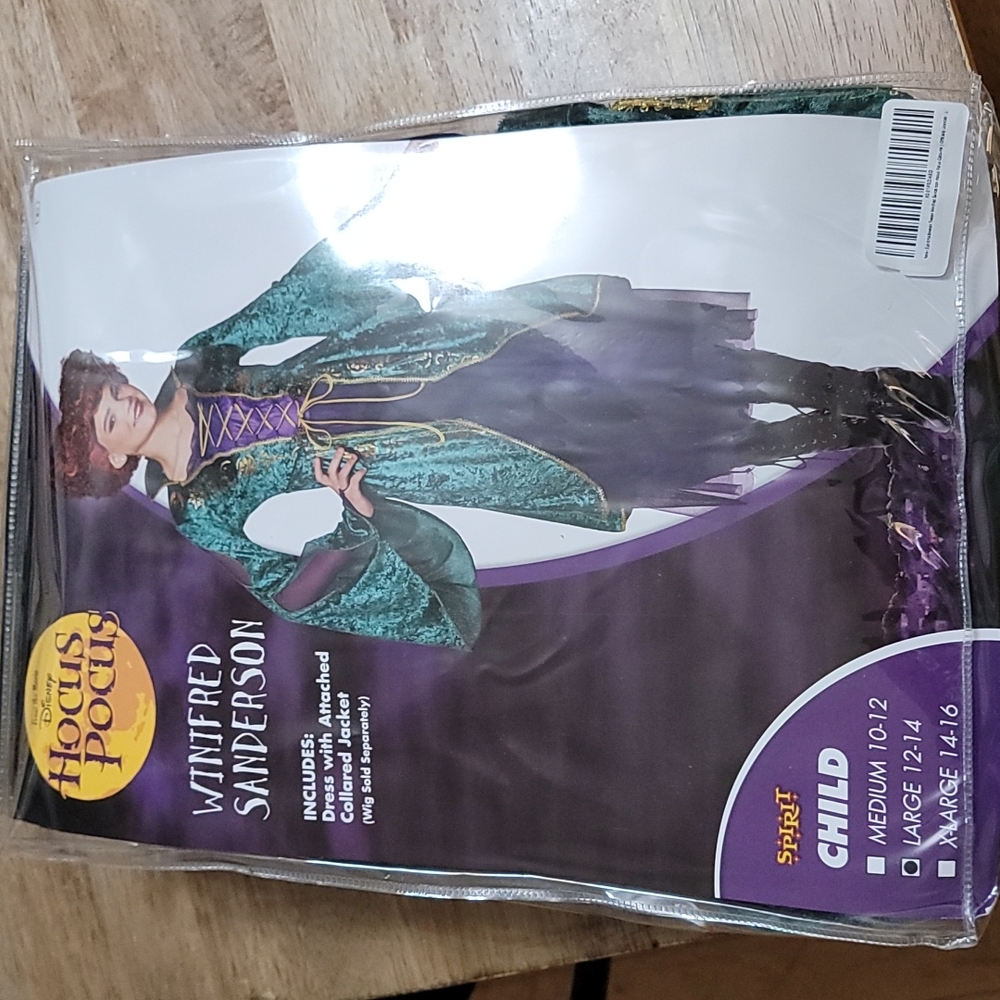 Winifred Sanderson Costume